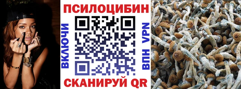 где продают наркотики  Домодедово  Галлюциногенные грибы Magic Shrooms 