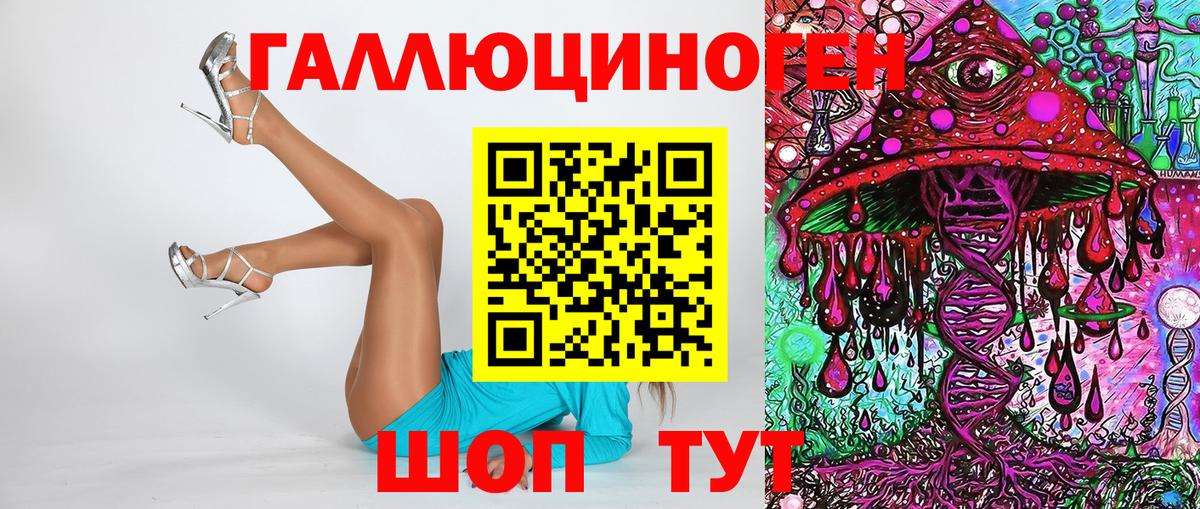 Псилоцибиновые грибы Psilocybine cubensis  Домодедово 