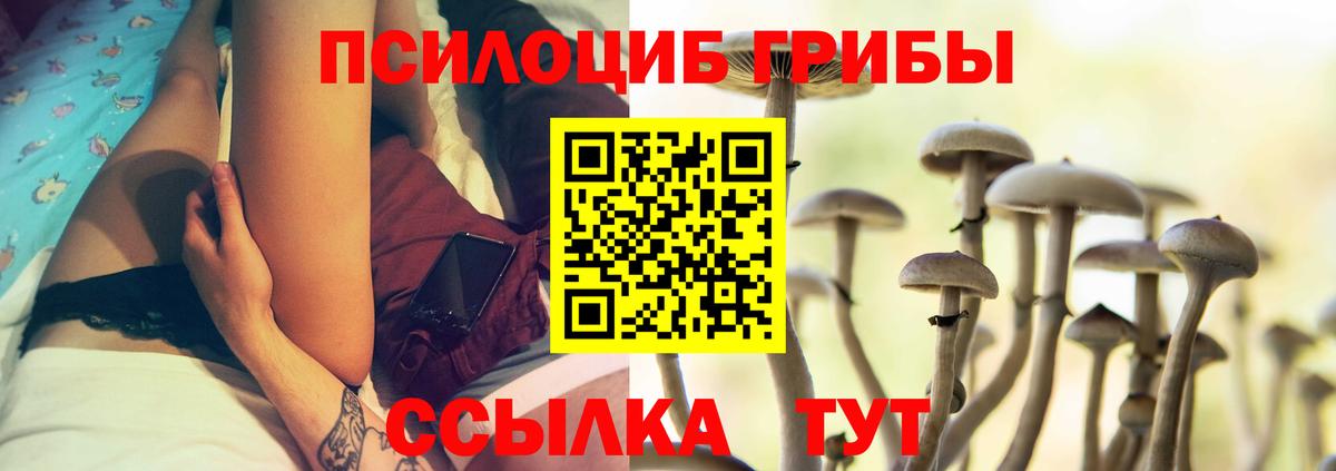 как найти наркотики  Псилоцибиновые грибы Magic Shrooms  Вход с VPN  Домодедово  Псилоцибиновые грибы GOLDEN TEACHER 